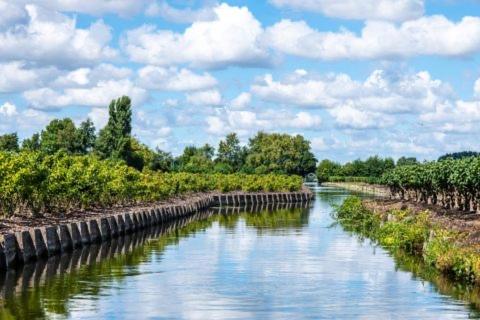 Westeindercabin, rustige locatie maar naast Amsterdam & Schiphol