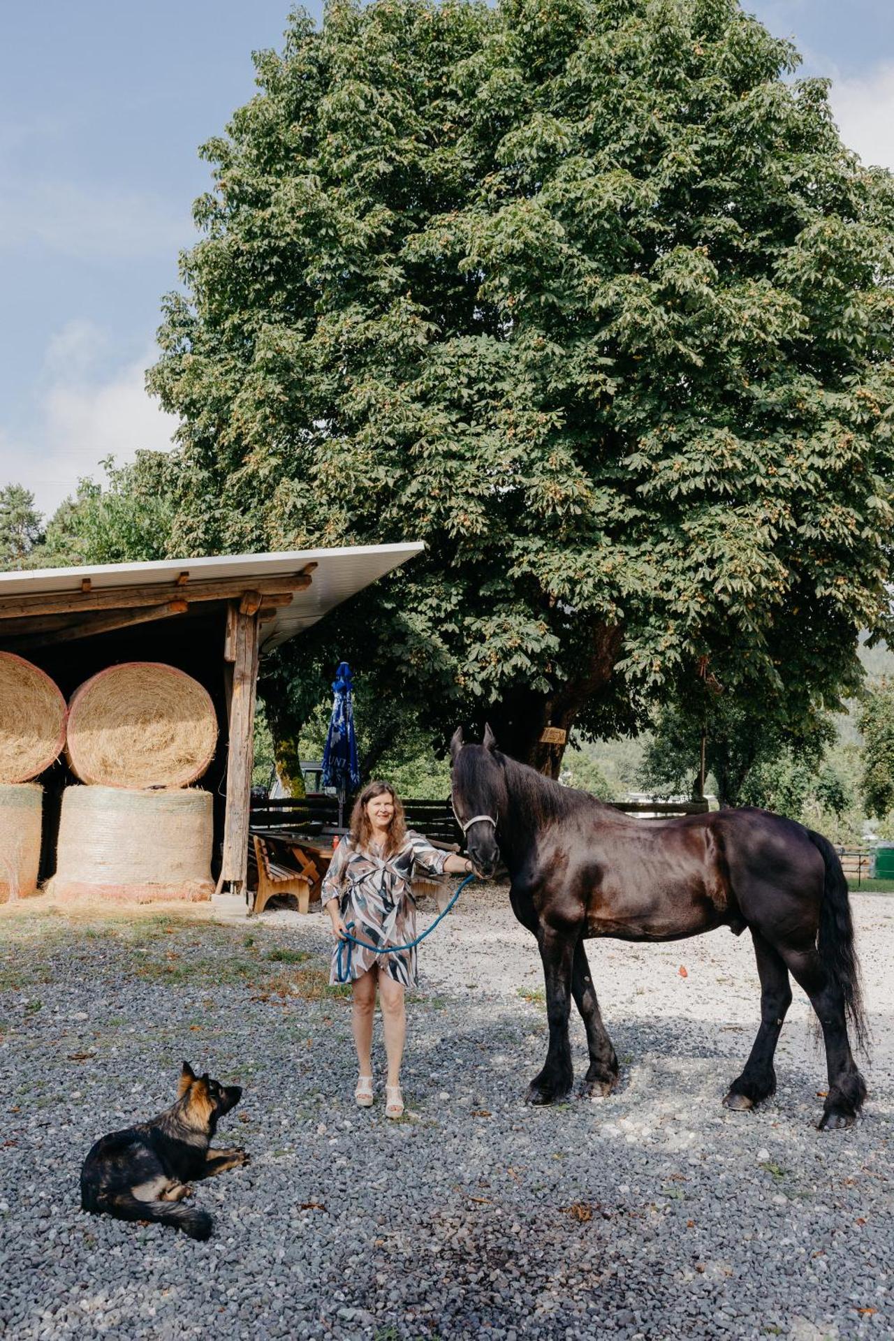 Andis Reiterstüberl, Rainweg 1 , 9311 Überfeld