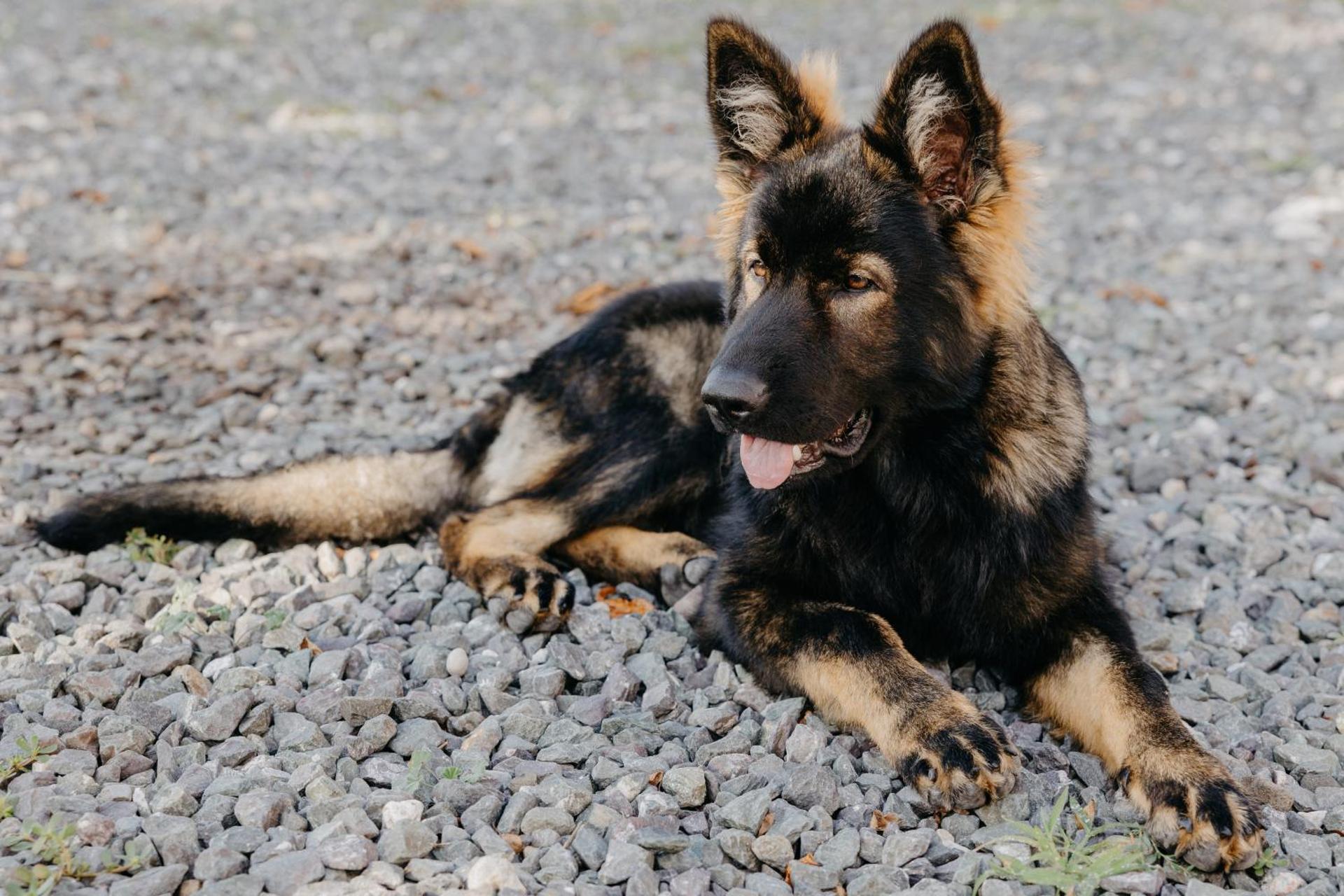 Andis Reiterstüberl, Rainweg 1 , 9311 Überfeld