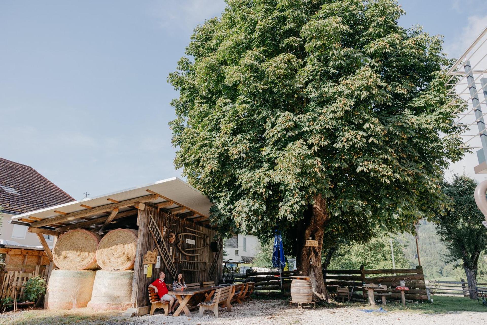 Andis Reiterstüberl, Rainweg 1 , 9311 Überfeld