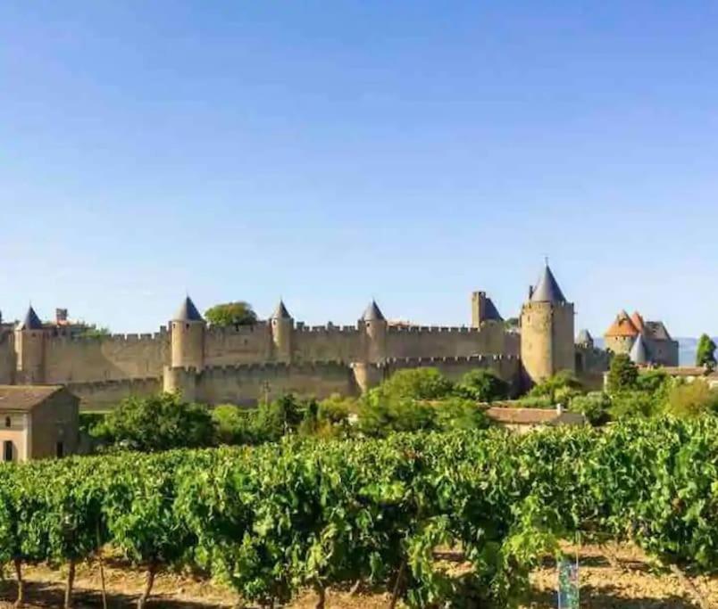 Appartement T2 avec vue château