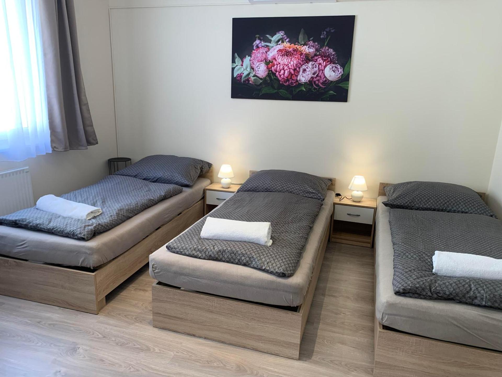 Silver Shine Apartman