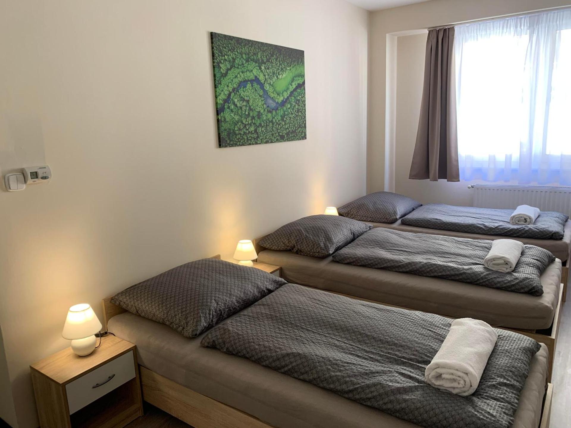 Silver Shine Apartman