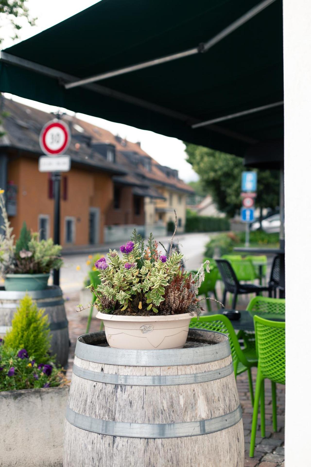 Hôtel Restaurant La Croix Verte Vich