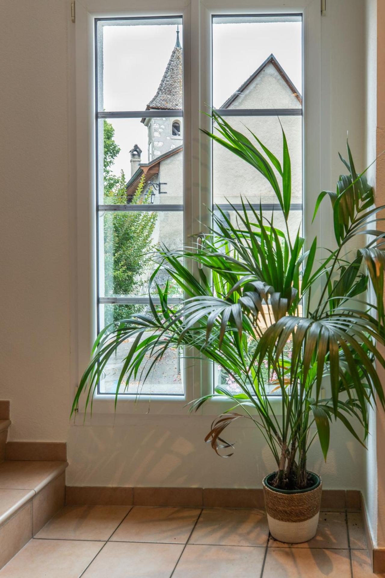 Hôtel Restaurant La Croix Verte Vich