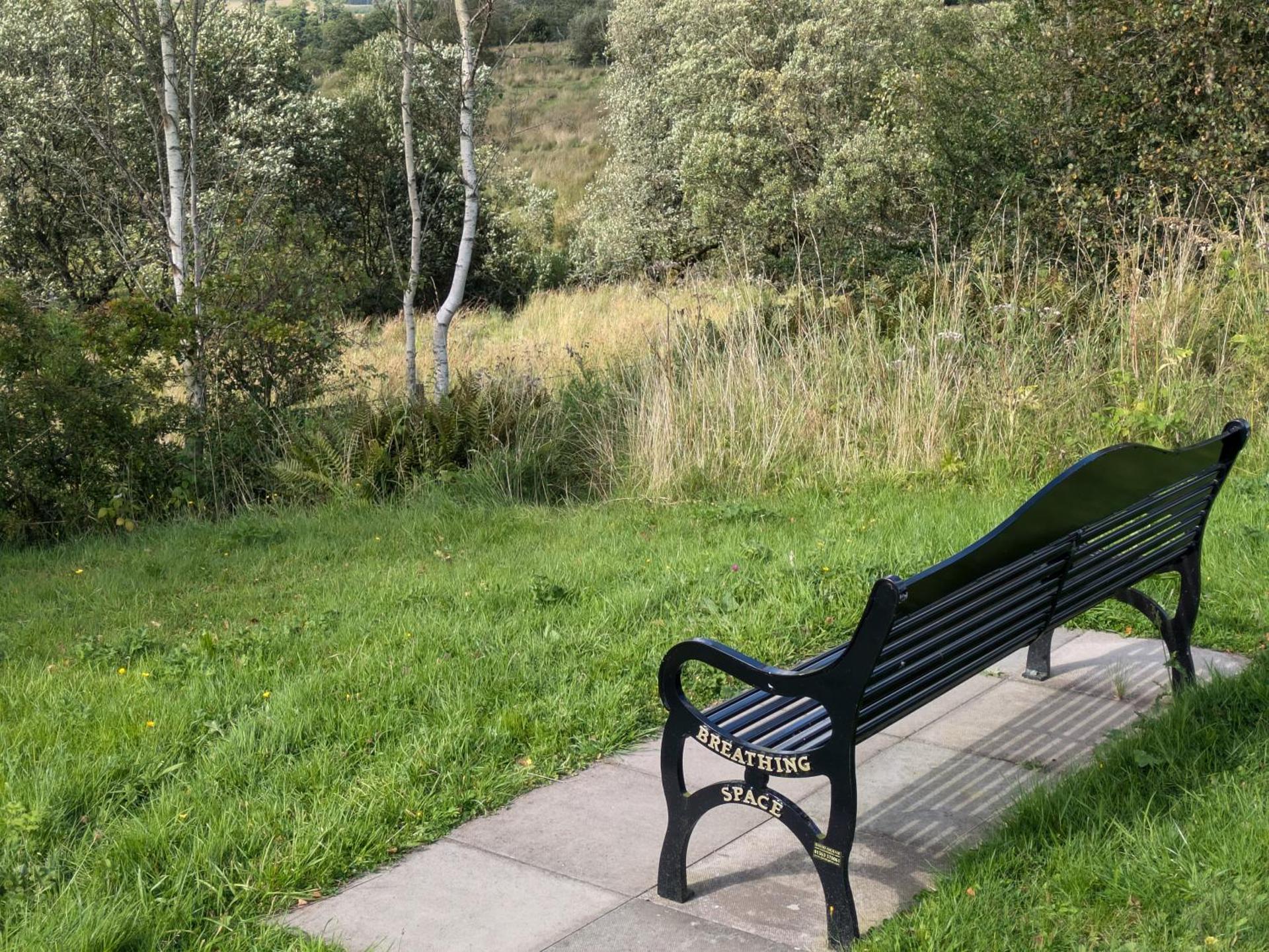 Pet Friendly - Lodge at Riverview Holiday Park