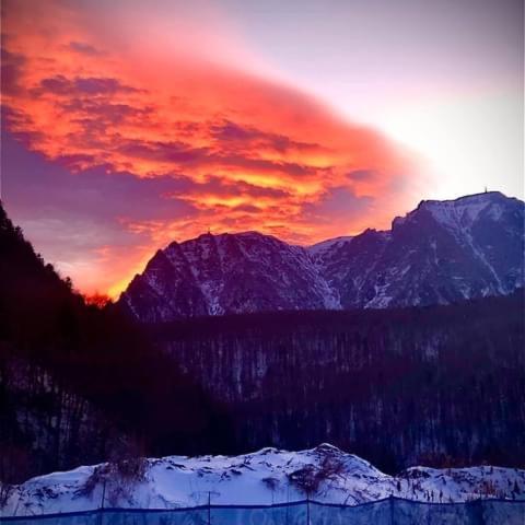 Restaurant Casa Nicolenco Azuga by Genco