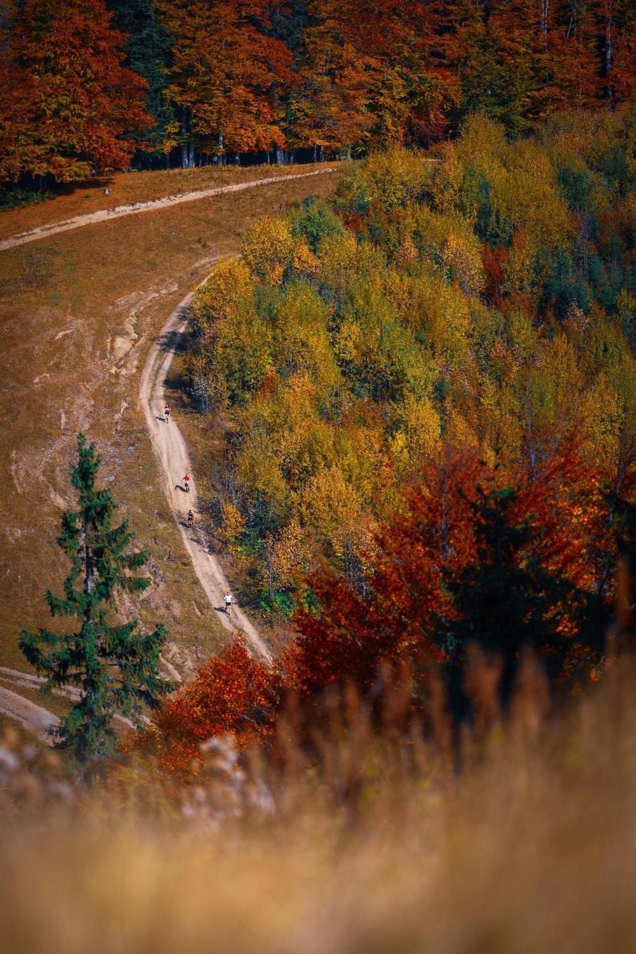Restaurant Casa Nicolenco Azuga by Genco