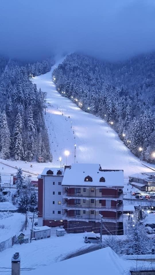 Restaurant Casa Nicolenco Azuga by Genco