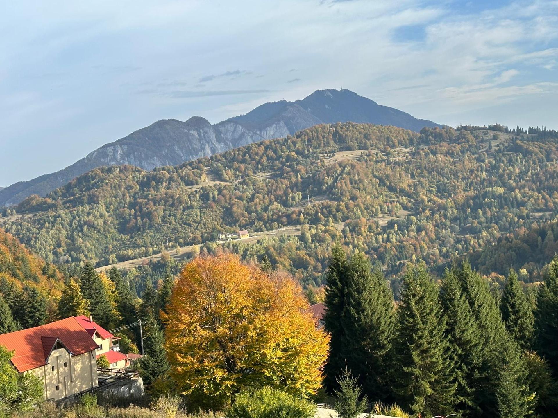 Restaurant Casa Nicolenco Azuga by Genco
