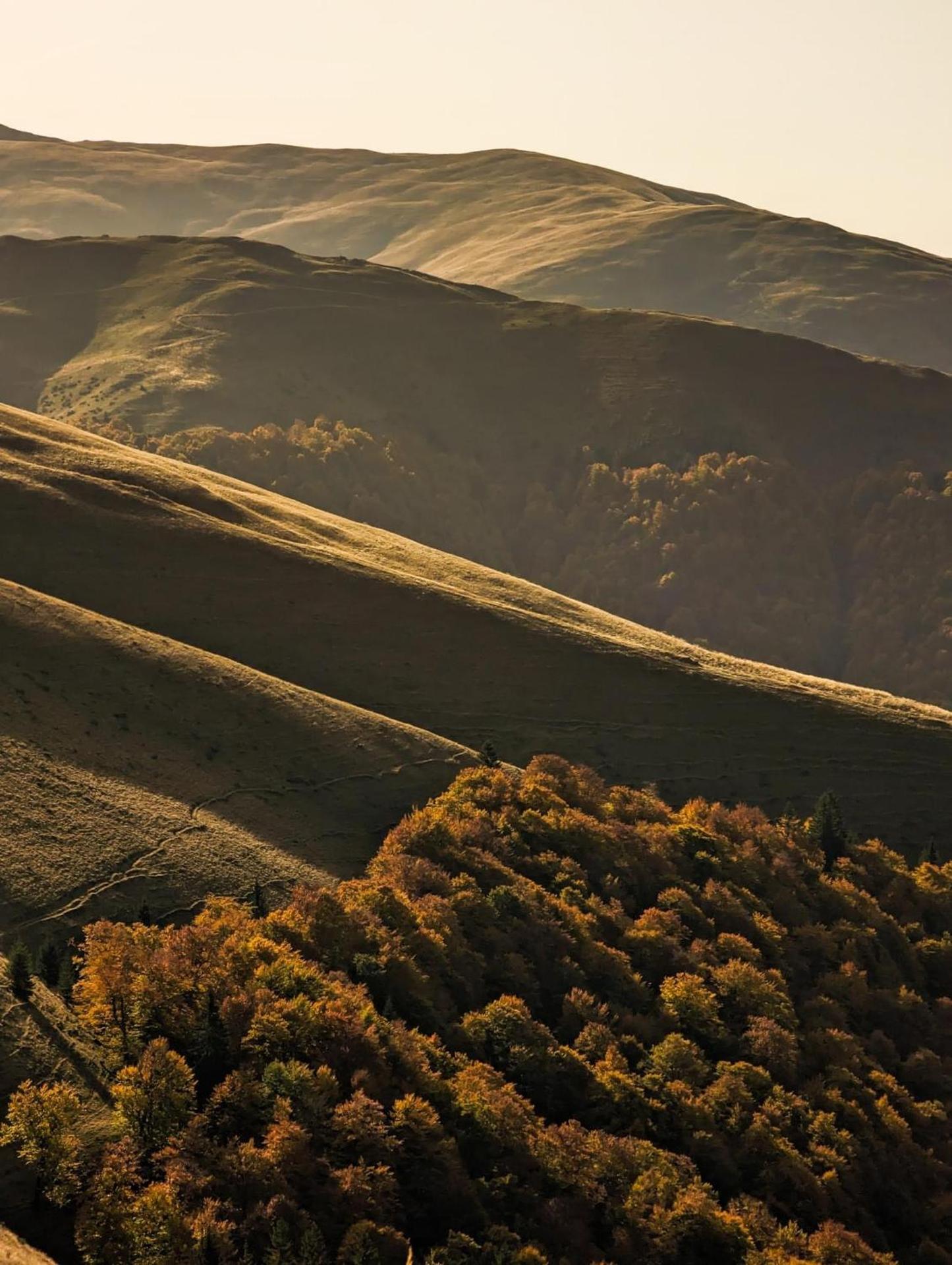 Restaurant Casa Nicolenco Azuga by Genco