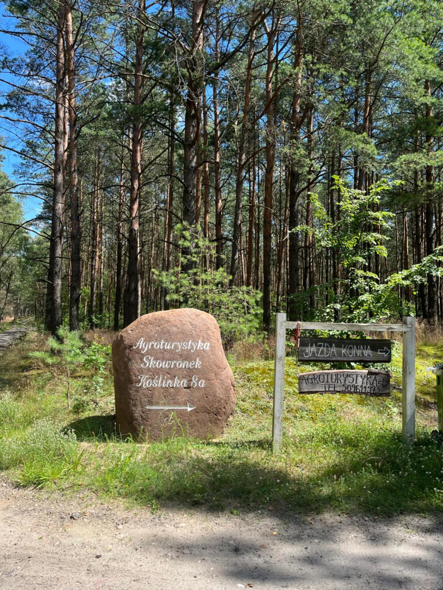 Agroturystyka Dom Skowronek