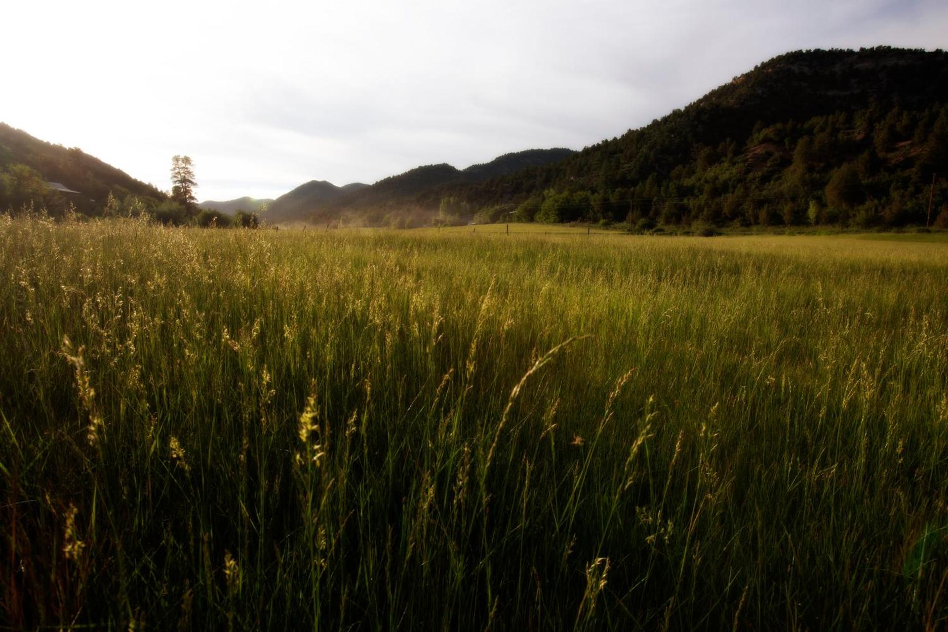 The Silo Loft at Goose Lake Lane