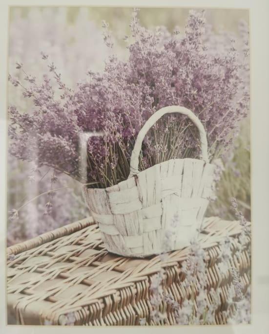 Lavender Lodge - Modern apartment in York