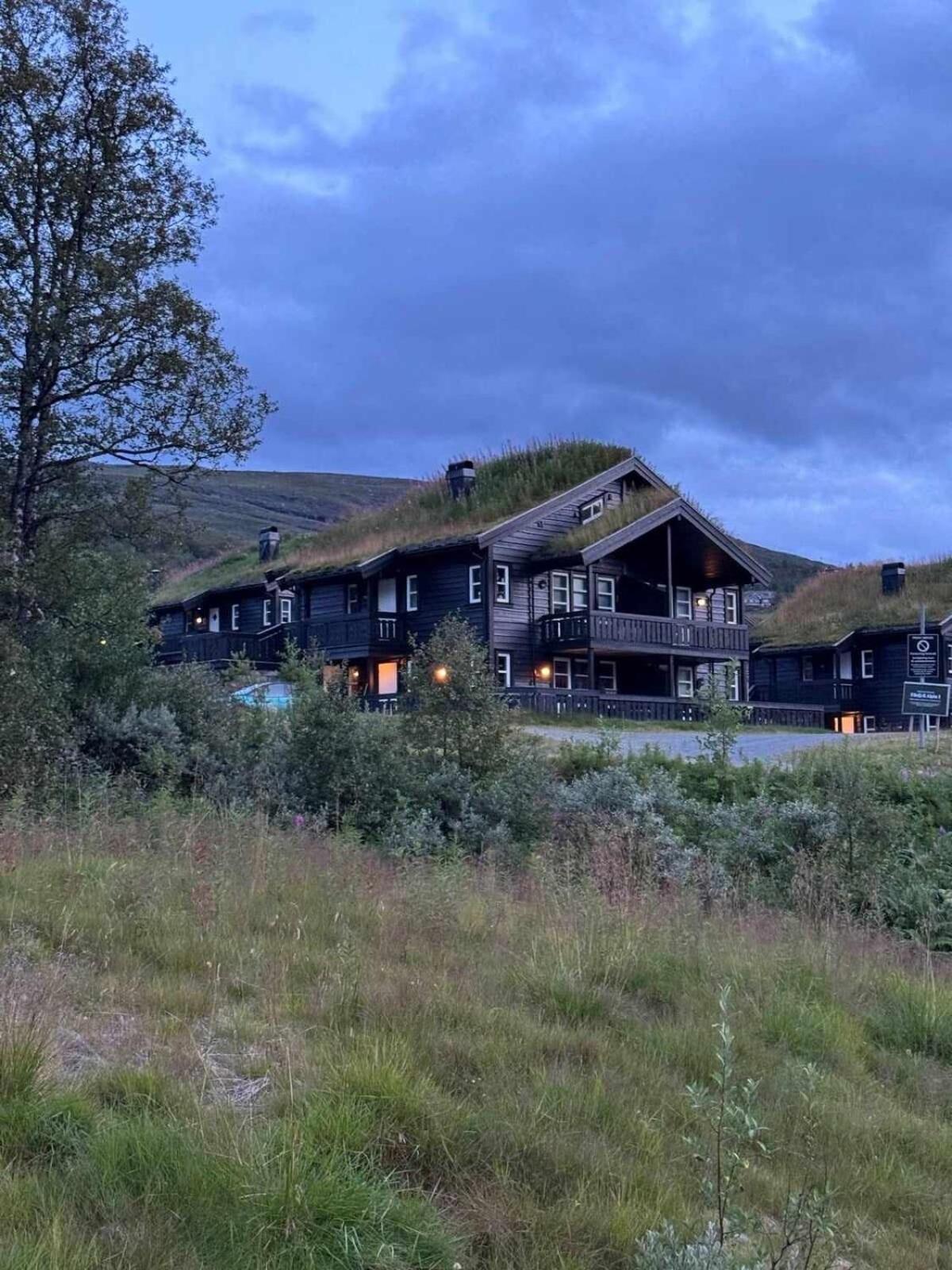 Bo lunt og koselig på Filefjell