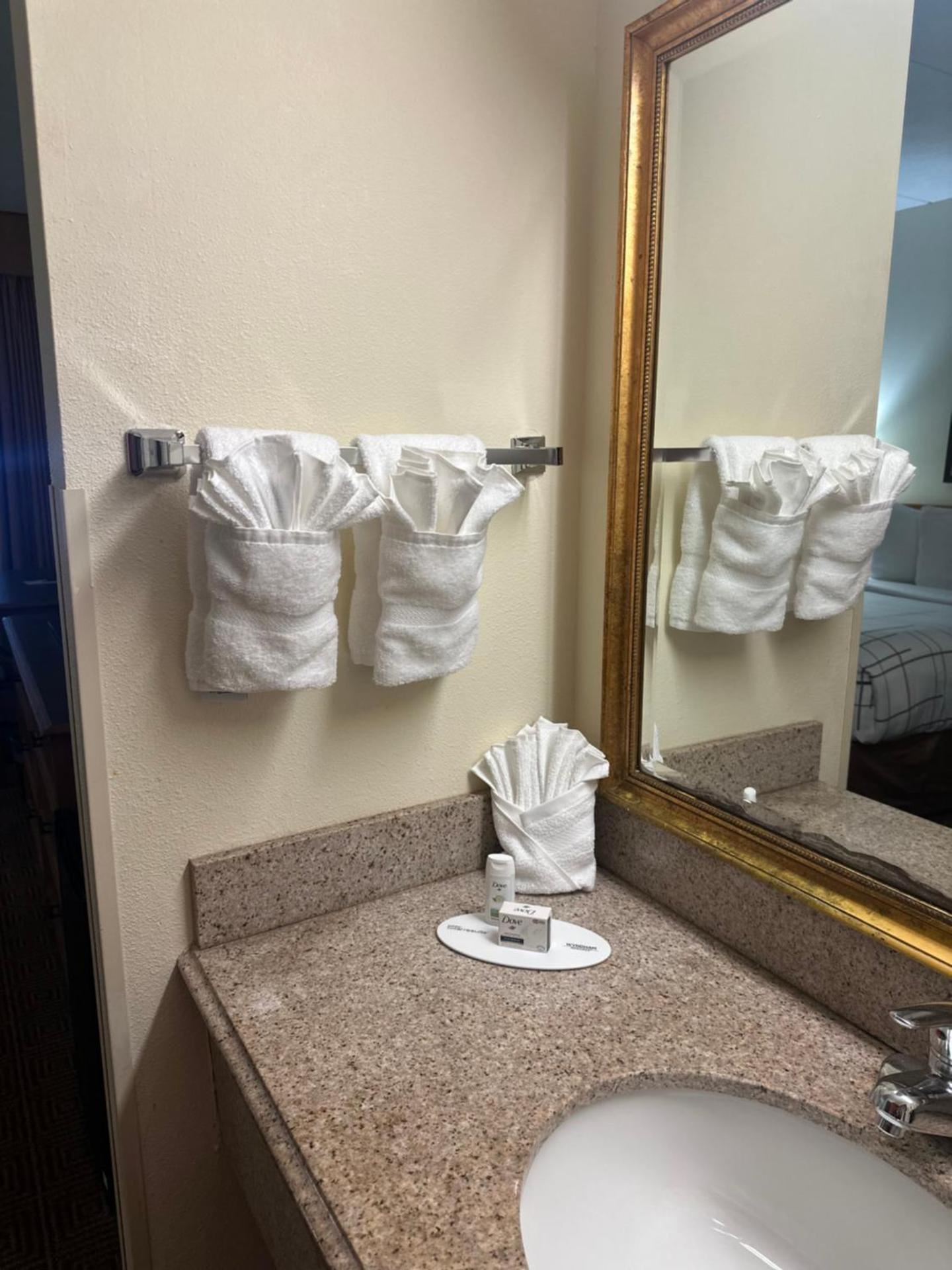 Single Room - Disability Access