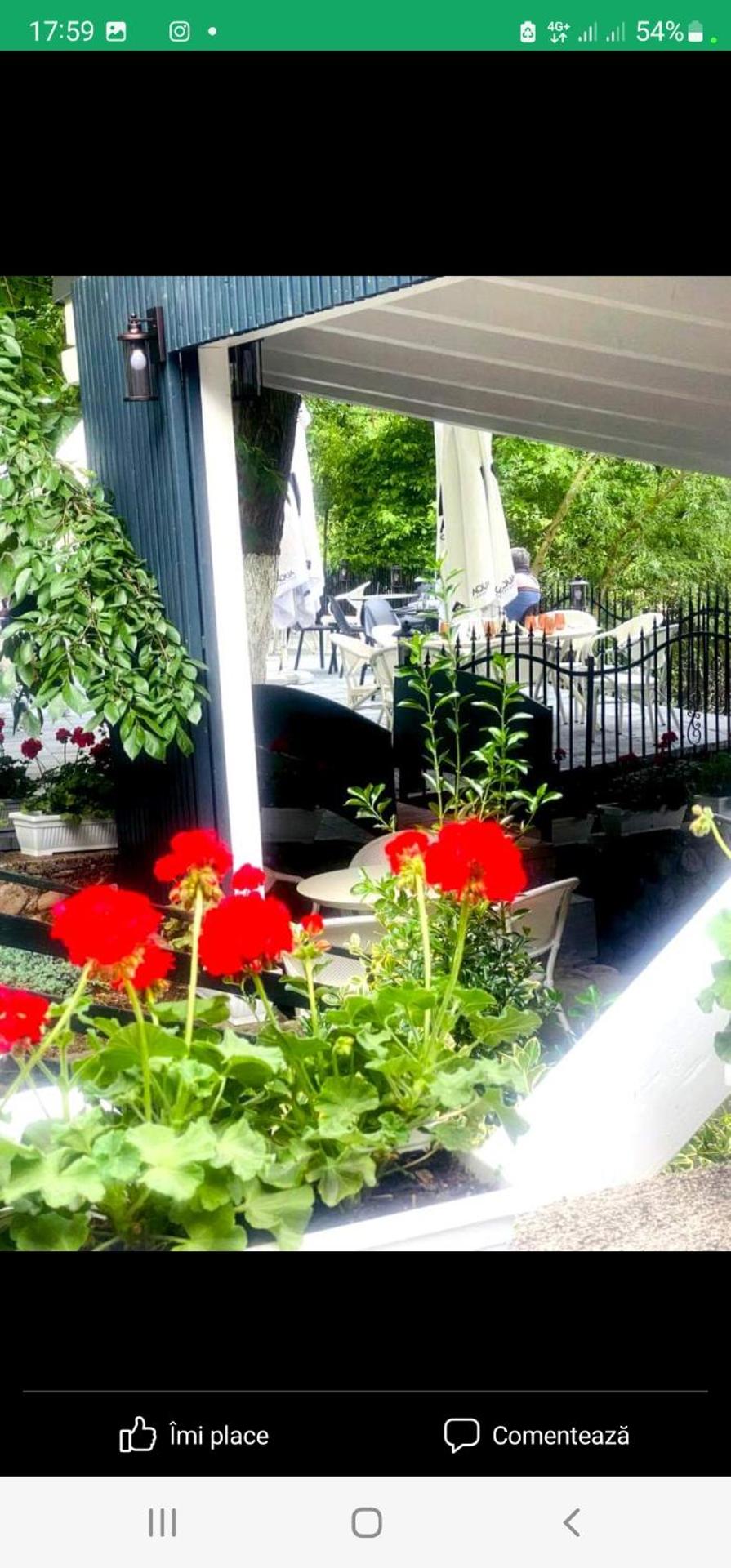 Pensiunea Casa Dimitrios-Baile Herculane -Casă Boemă cu vedere la munte apă atmosferă intimă