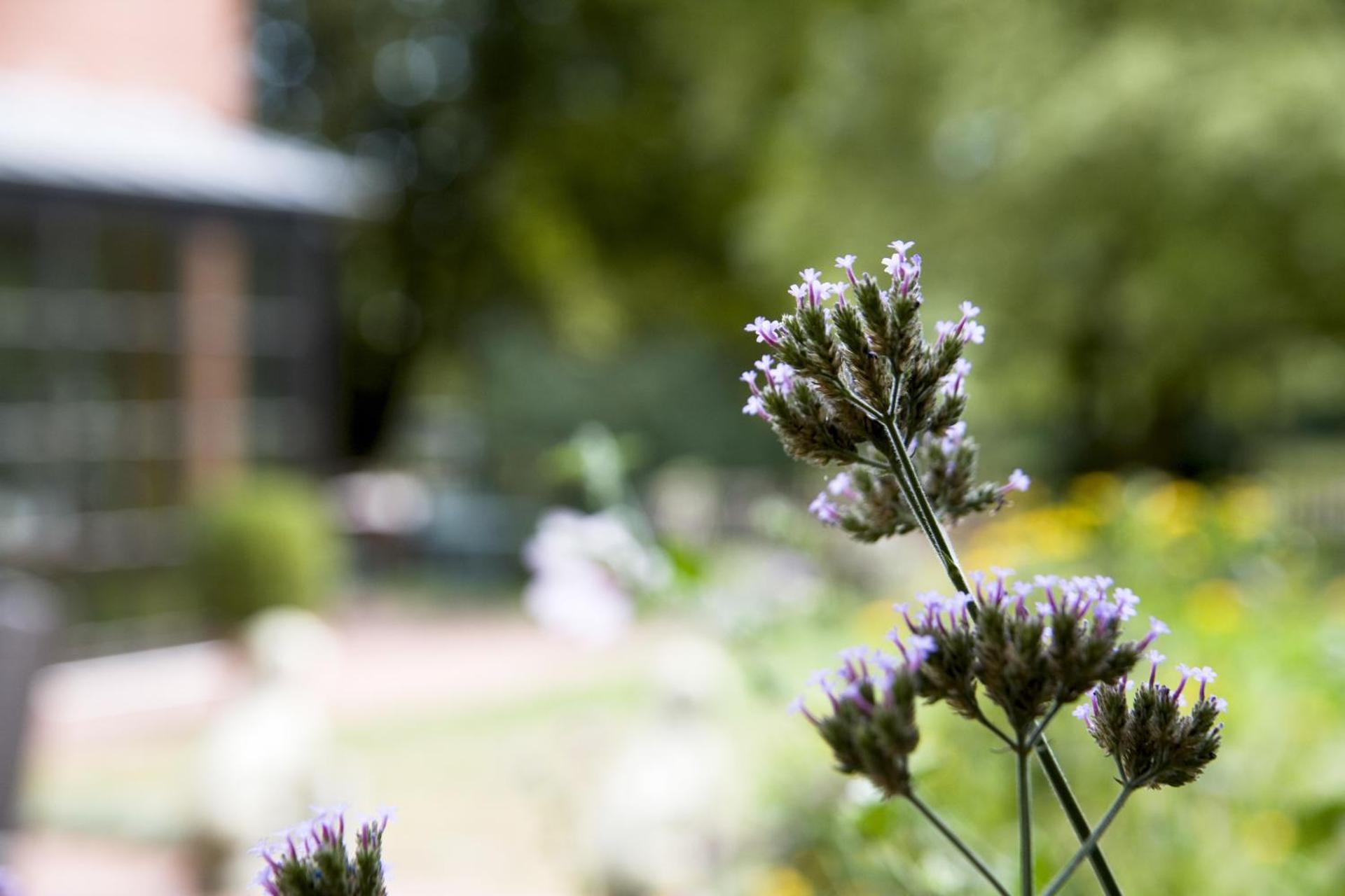 Hotel Restaurant Piärdestall Hövelhof
