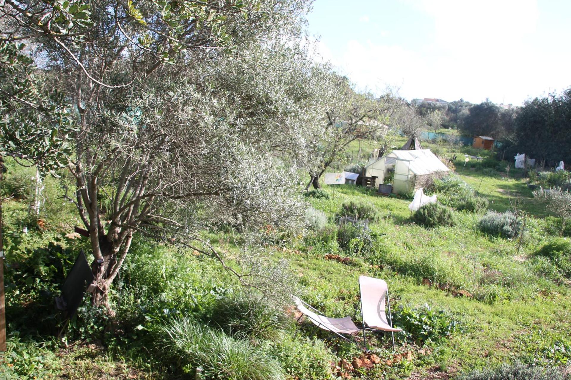 Tiny house eco resort