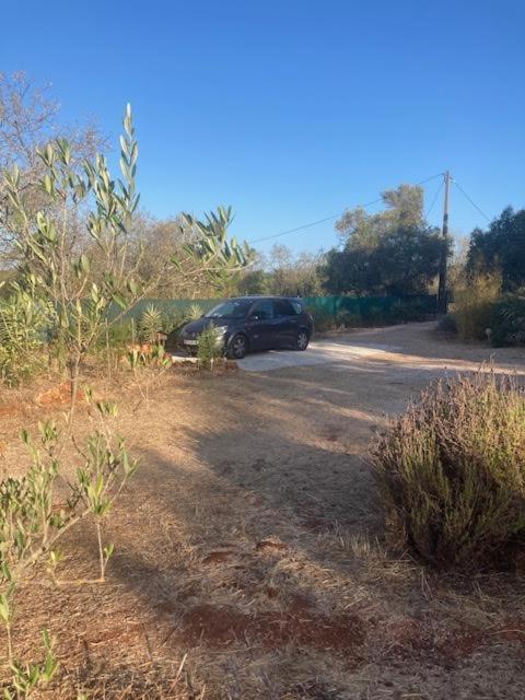 Tiny house eco resort