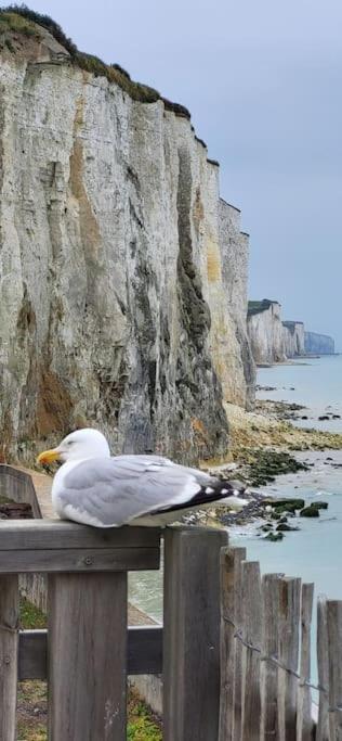 Le rivage d'Hélène- Appart Vue Mer - 2 pers - 1 ch