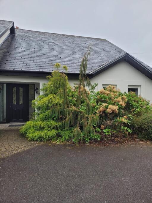 Self catering apartment