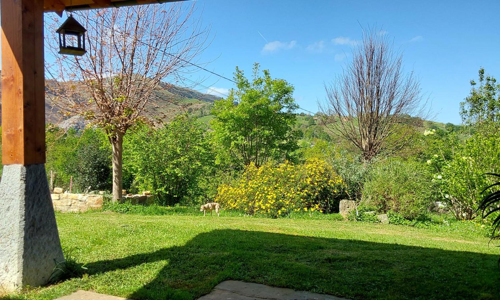 La kuruxa apartamento