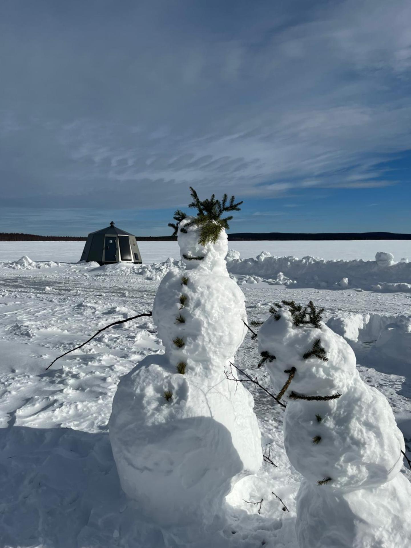 Vikajärvi Lake View Experience Igloos