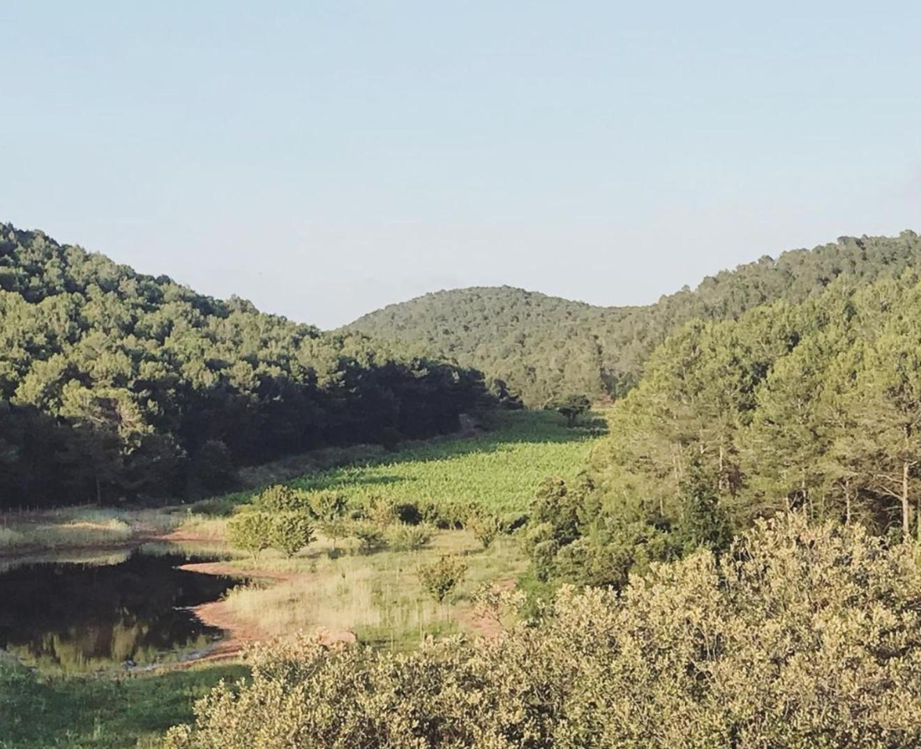 View (from property/room)