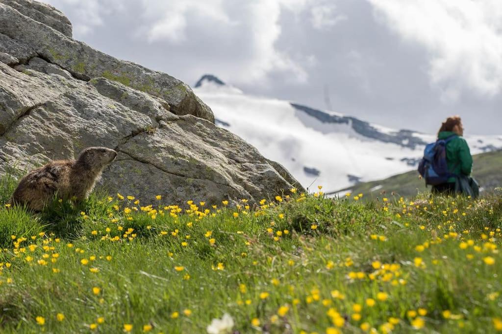 Centro di Aosta - Bilocale grazioso e silenzioso