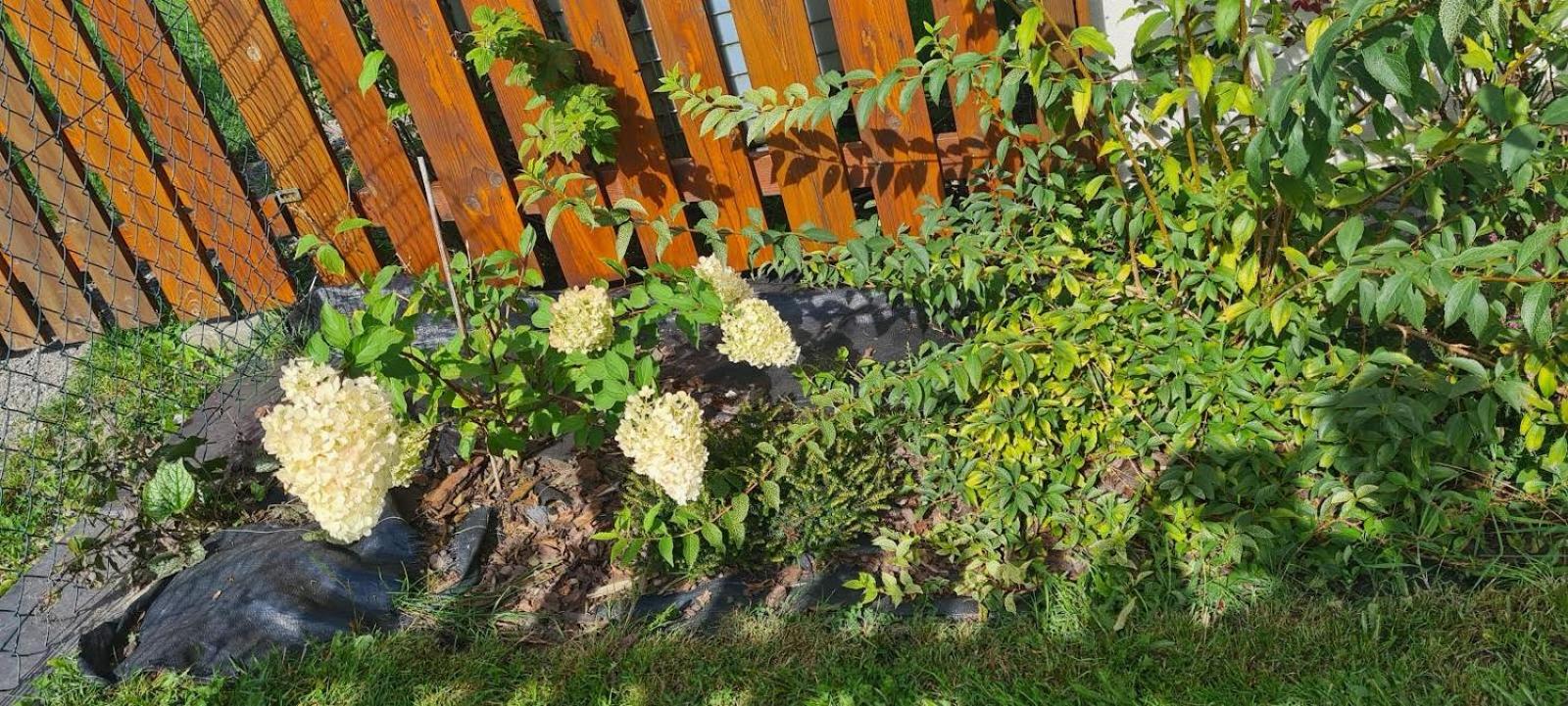 Domek do wynajęcia SkoSki