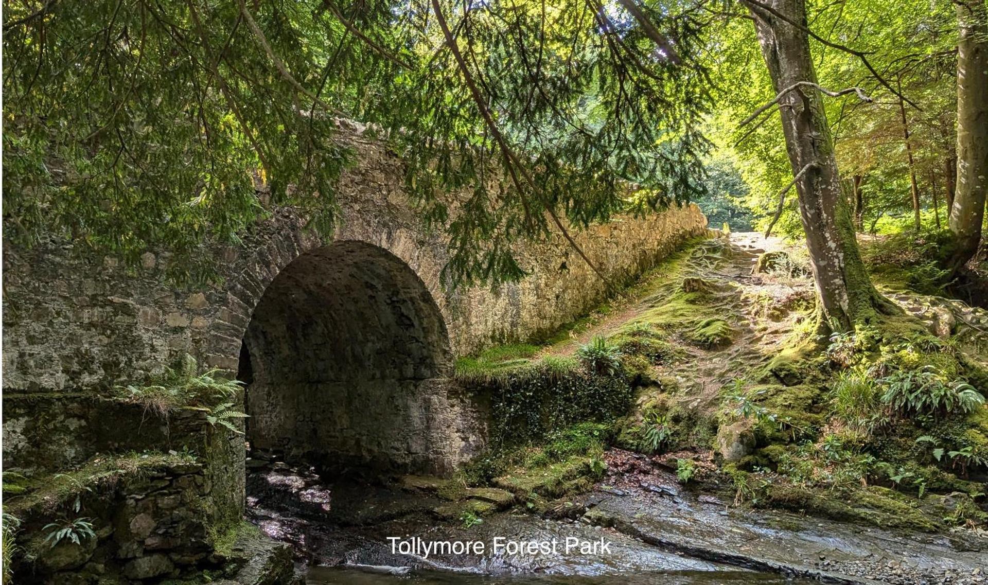 Park Avenue Apartment