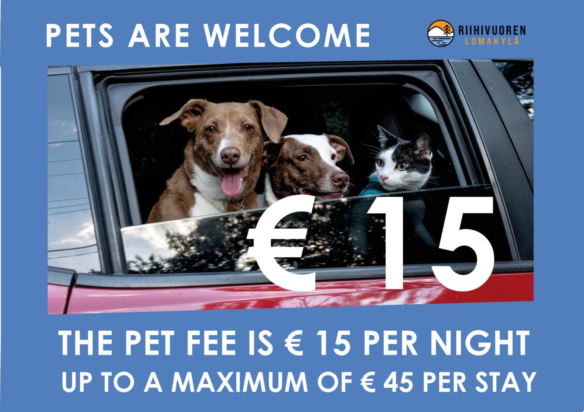 Paritalomökki Lomariihi 10