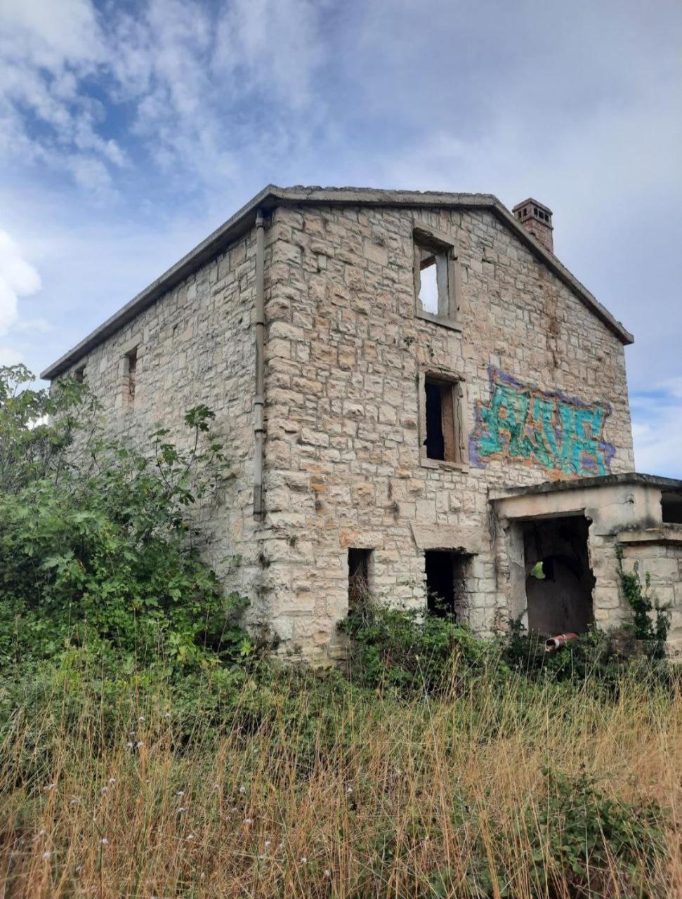 Apartment Olive Istra