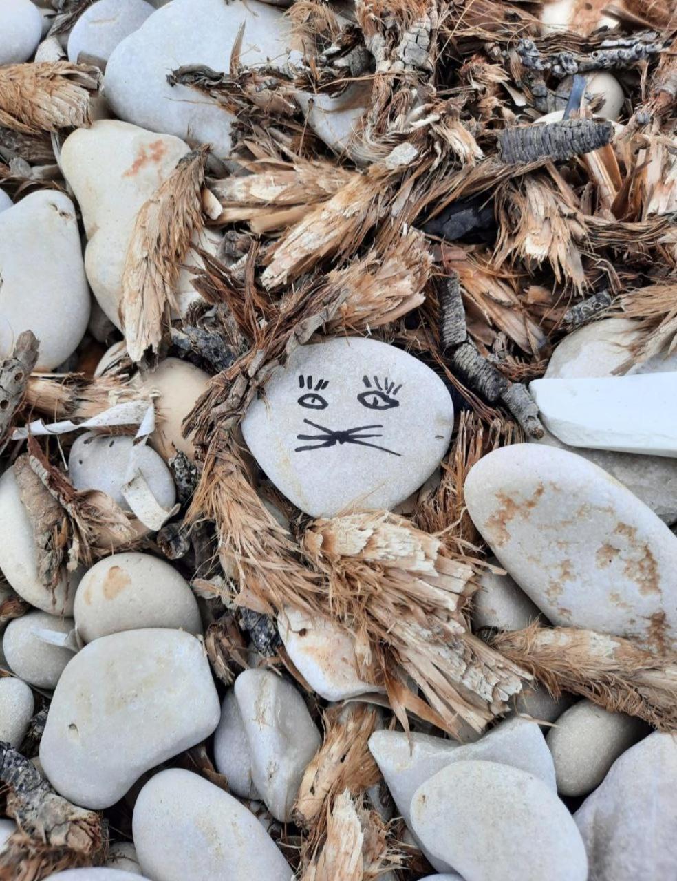 Apartment Olive Istra