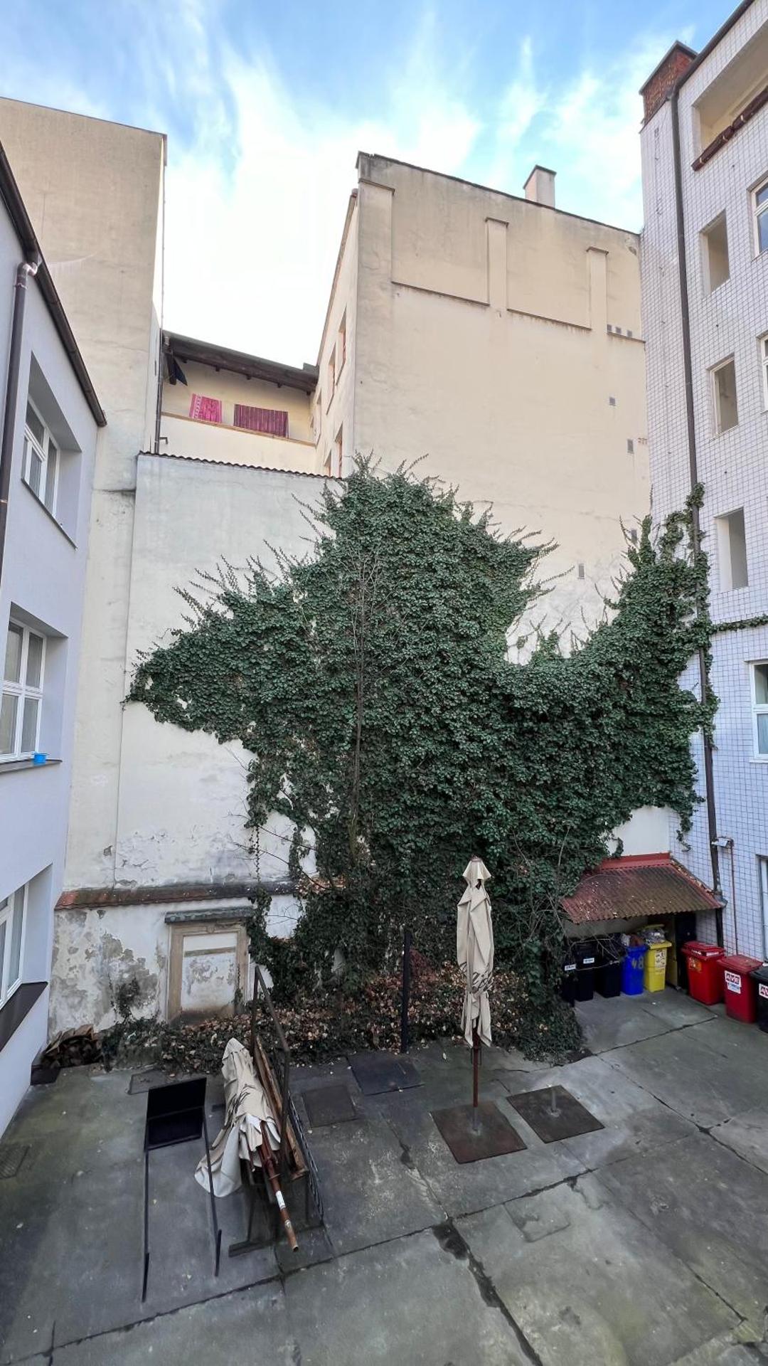 Cozy apartment in the city centre