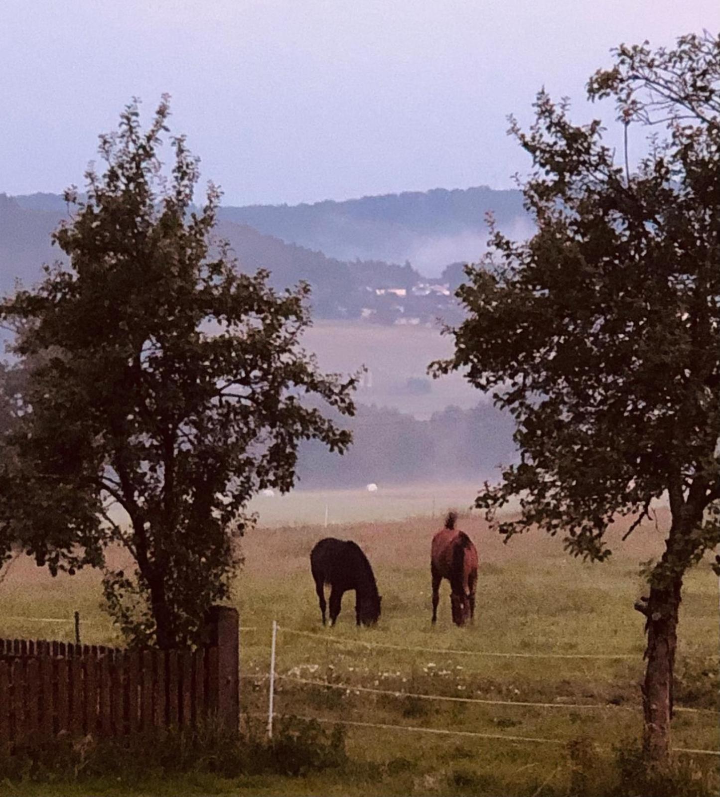 Gemütliches Bauernhof Appartement Dünsberg