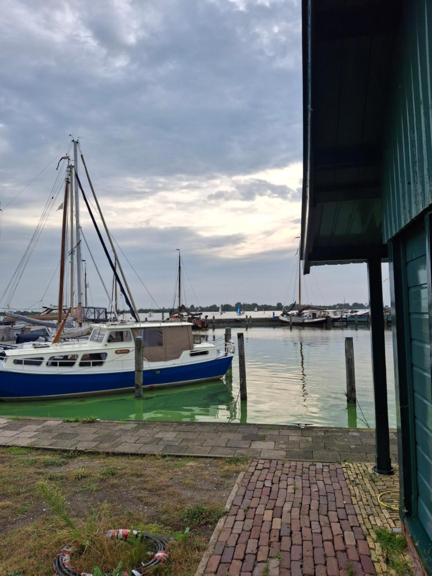 Chalet Babbelaar 6 - premium locatie