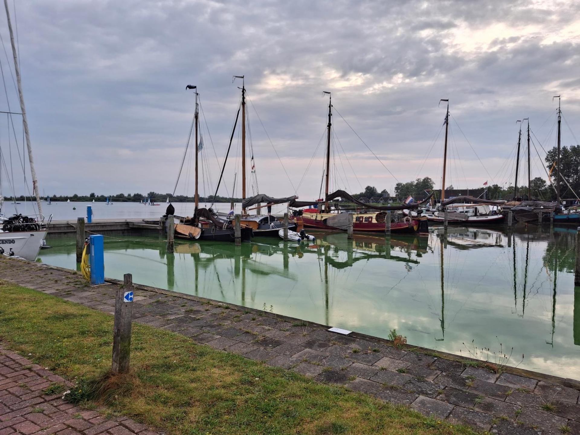 Chalet Babbelaar 6 - premium locatie