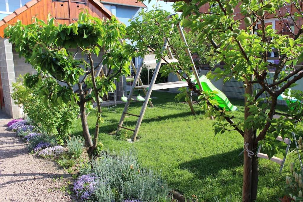 Gîte ''Les Bleuets'' Piscine été 2026