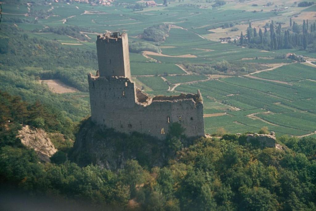 Gîte ''Les Bleuets'' Piscine été 2026