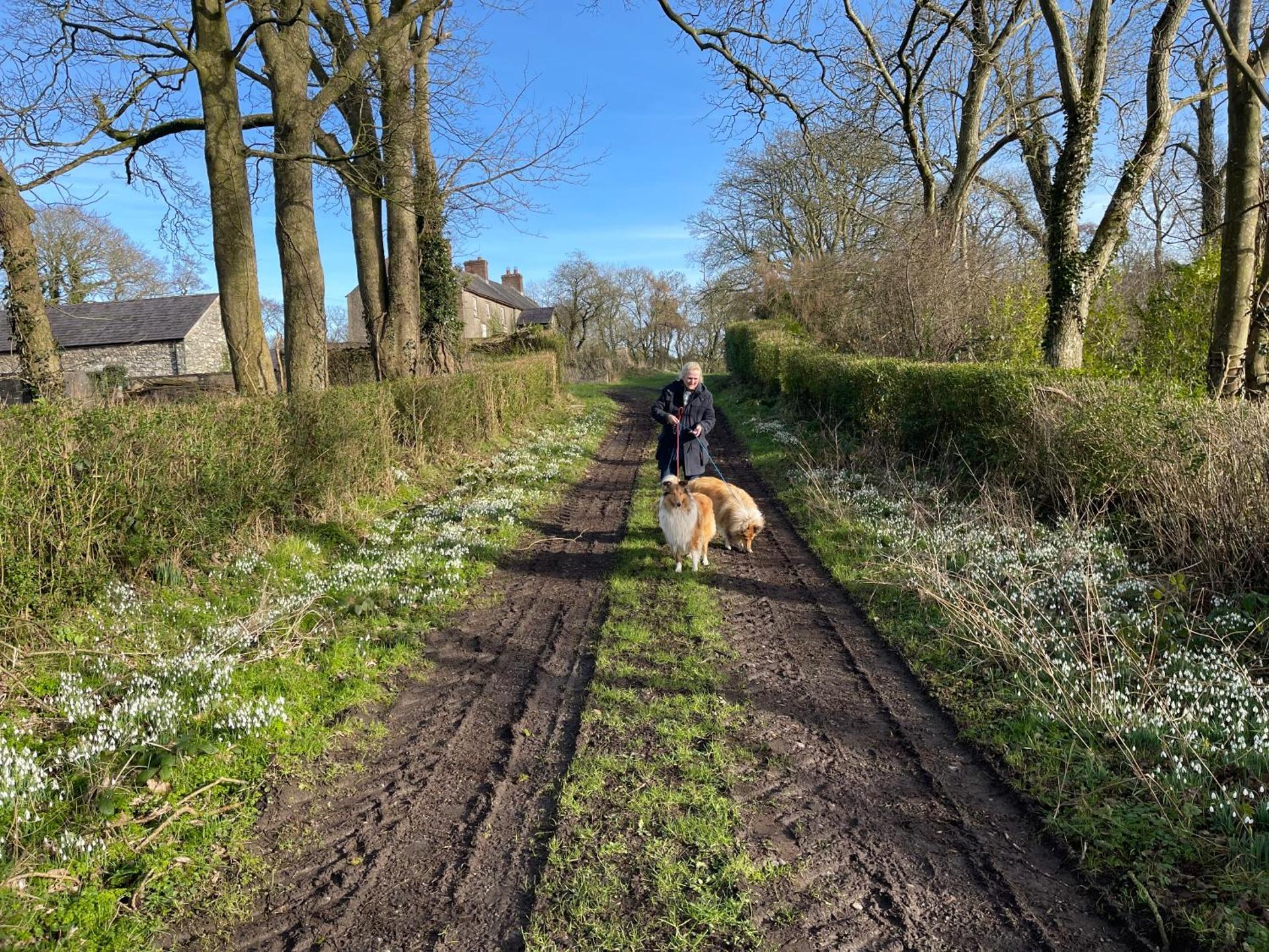 The Byre (Unusual and Different).