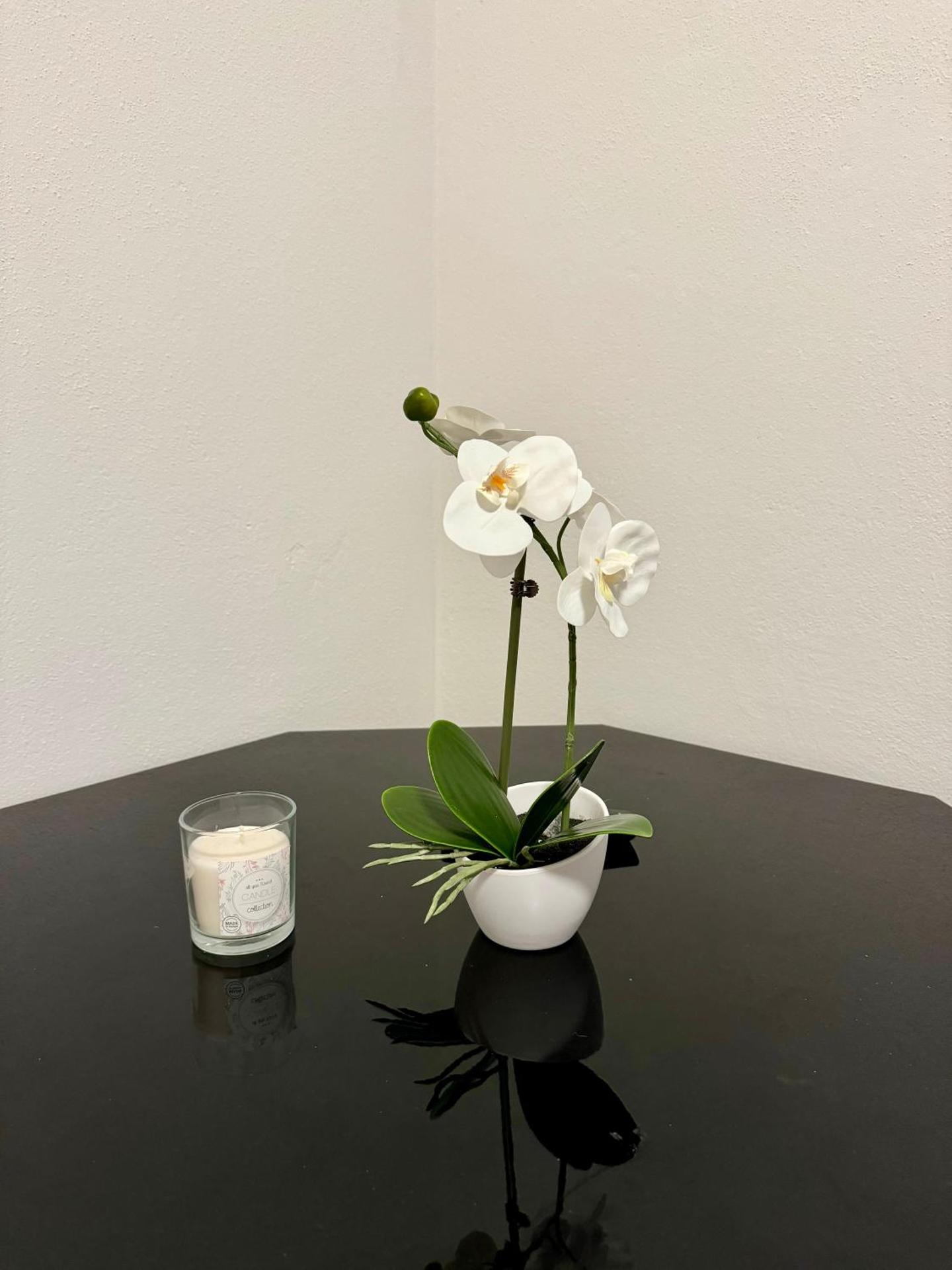 City Ferien Wohnungen 8