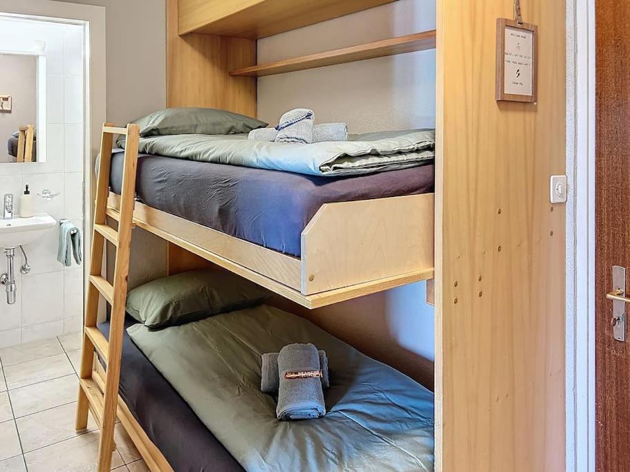 Nendaz Olympic Ski-In Ski-Out