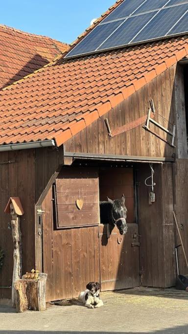 Ferienwohnung Krone 2 - Mernes