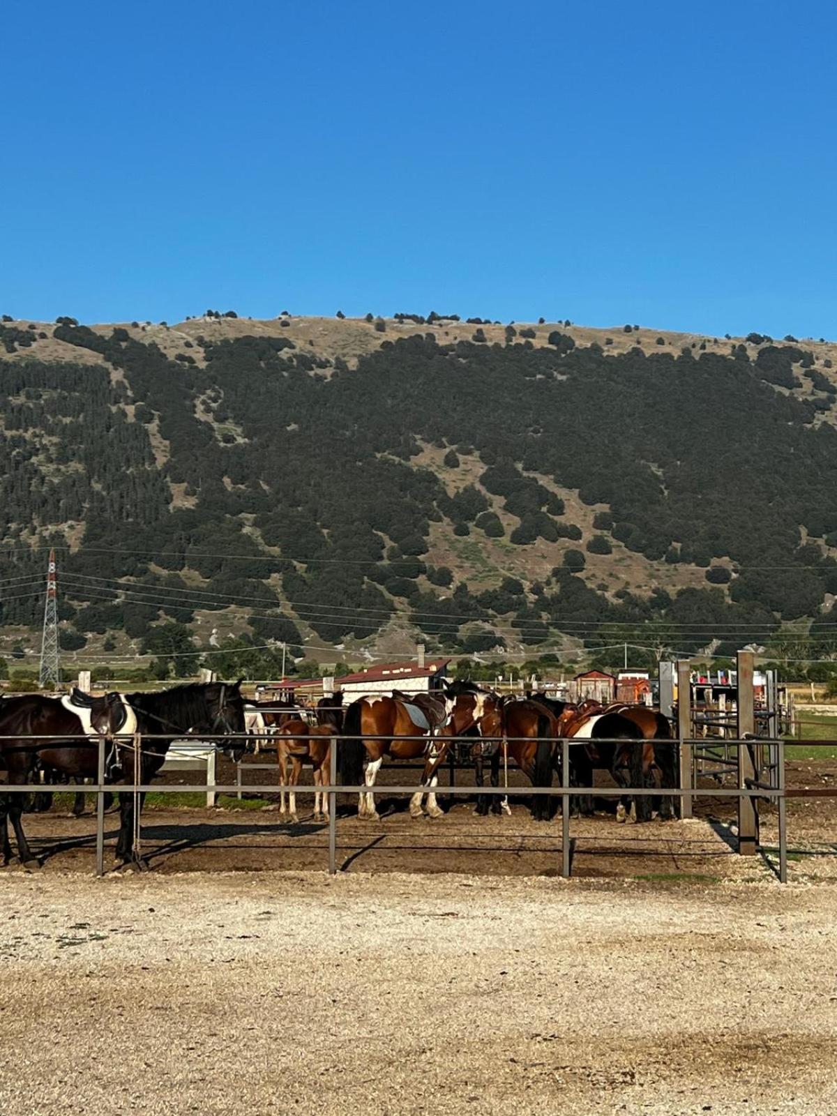 Project House appartamento Relax