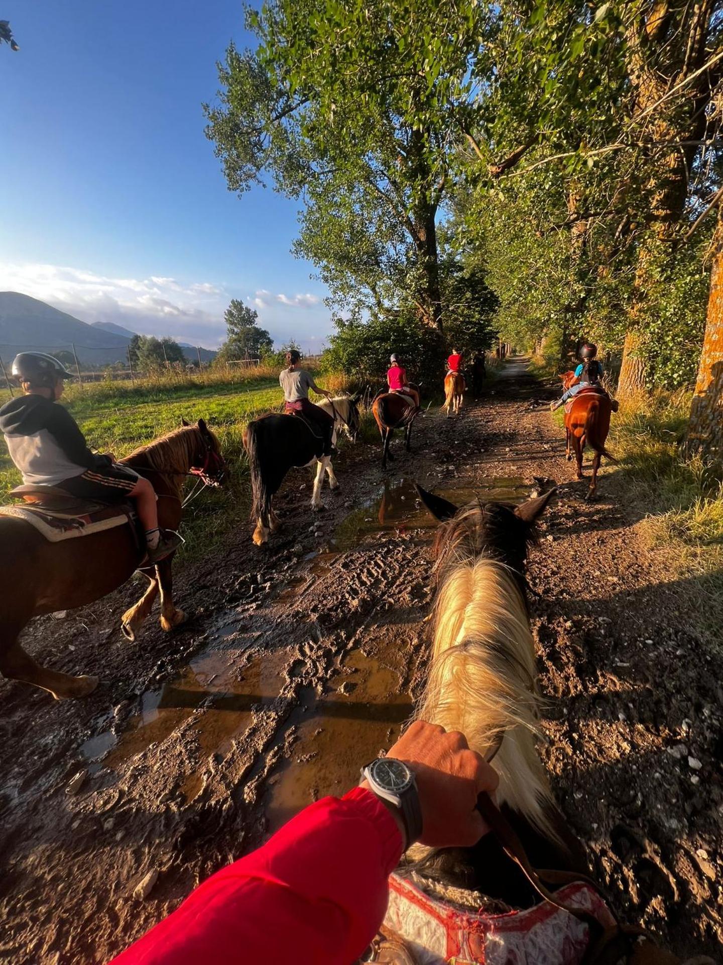 Project House appartamento Relax