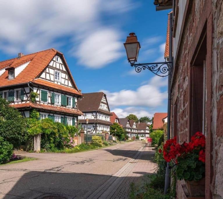 Au petit nid de Seebach