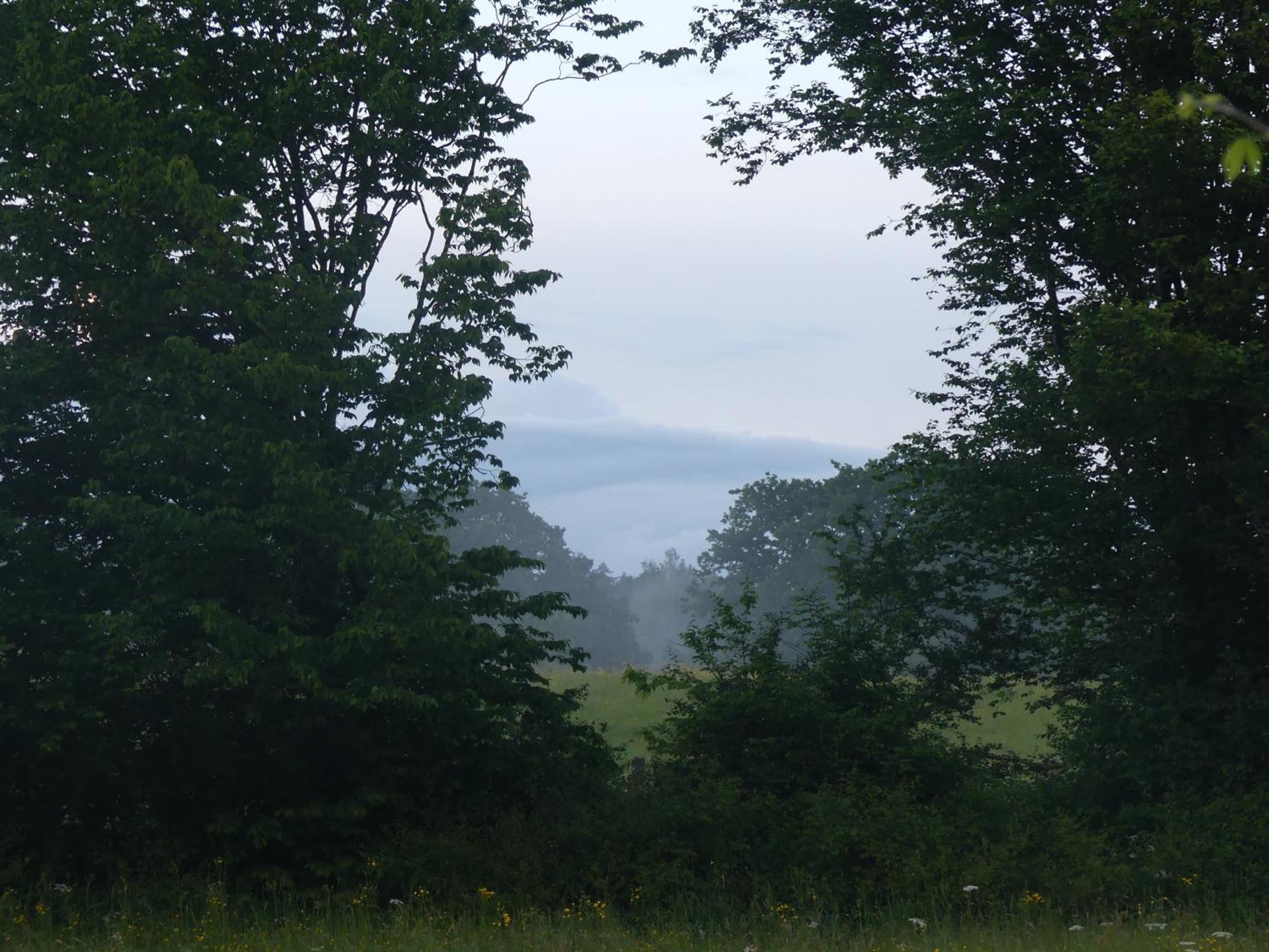 Gîte La Maison Jaune
