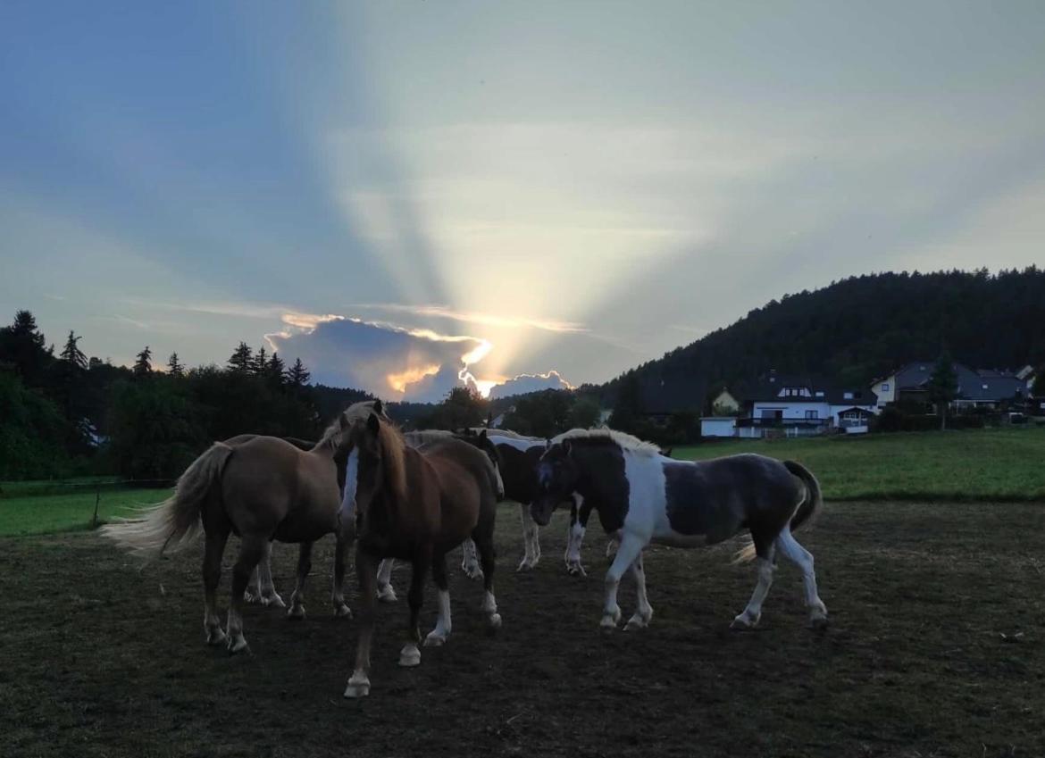 Ferienwohnung am Tor zum Thüringer Wald 2